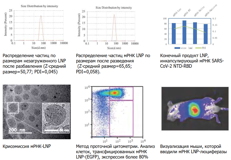 мРНК LNP